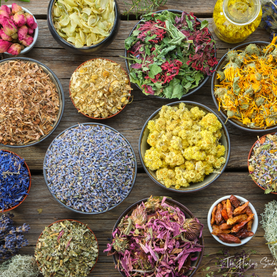 Ayurveda Coaching and Consultation